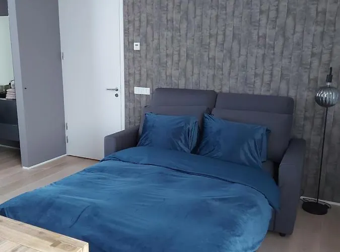 Bed&wellness Boxtel, Luxe Met Airco En Eigen Badkamer 3* Boxtel