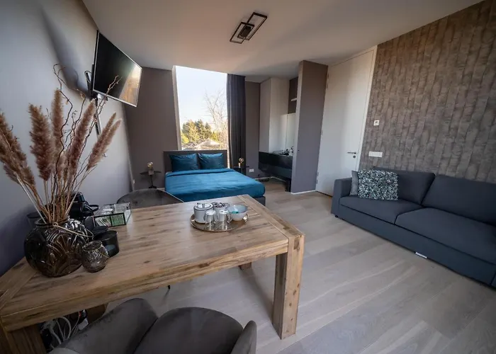 Bed & Wellness Boxtel, Luxe Met Airco En Eigen Badkamer Couette-café 3*